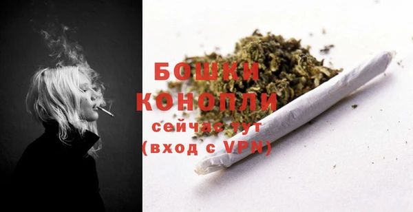 гашик Михайлов