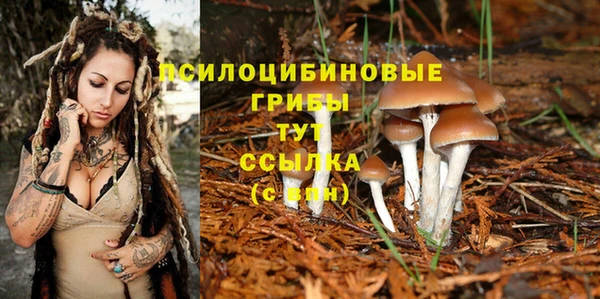 каннабис Алексин