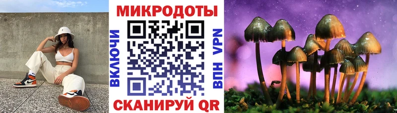 Галлюциногенные грибы Psilocybine cubensis  Чусовой 