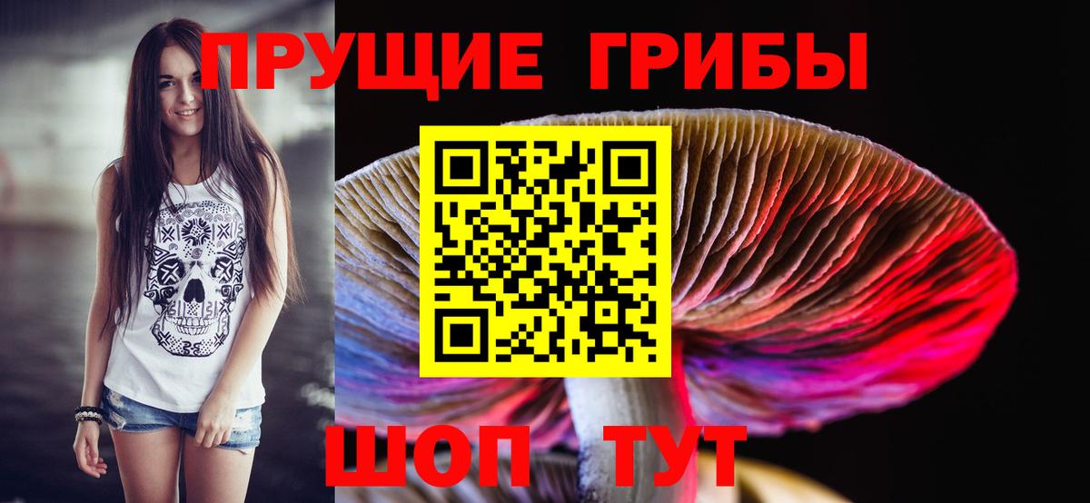 Галлюциногенные грибы Psilocybine cubensis Чусовой